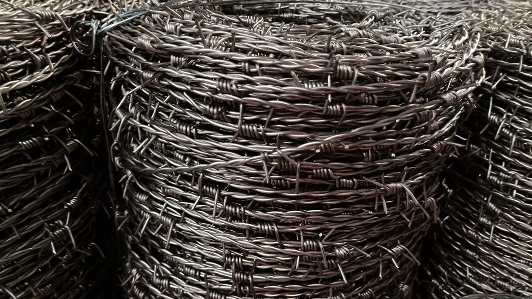 barbed wire.jpg