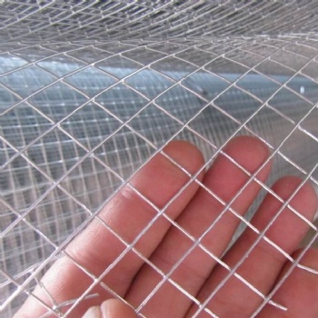 galvanized welded wire mesh